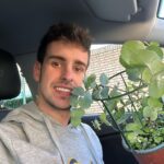 renacer-entre-ruinas